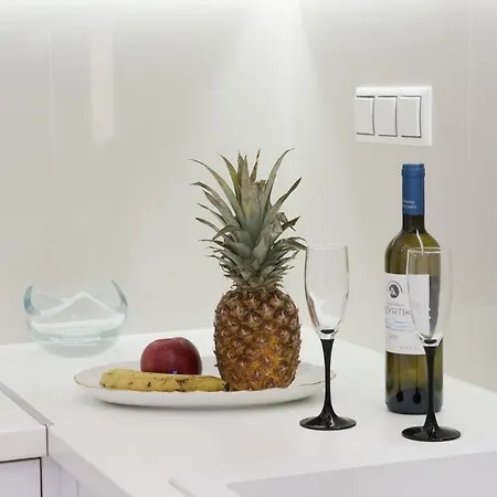 Despina's Luxury Downtown Apartment
